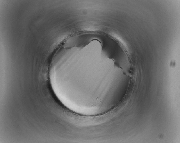 X0000096400023200802071611