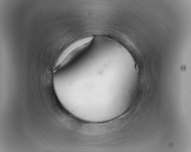 X0000096400025200802071611