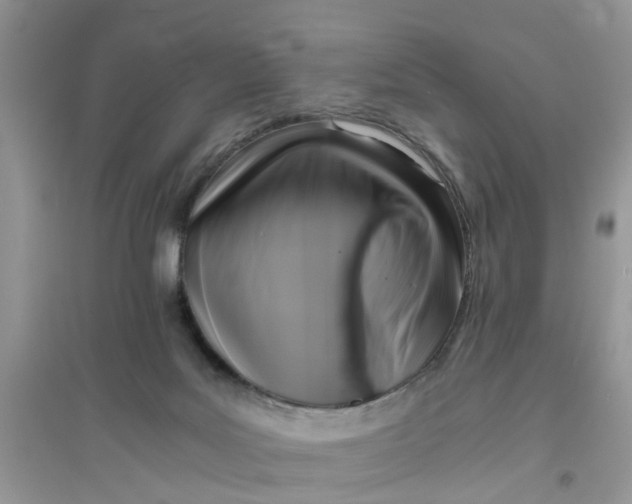 X0000096400027200802071611