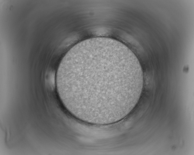 X0000096400028200802071611