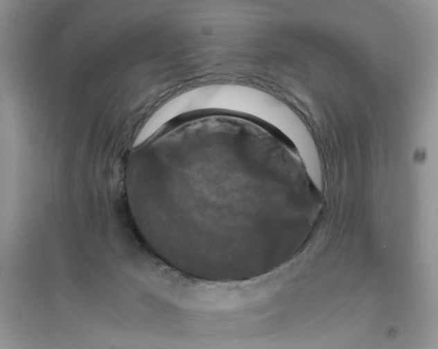 X0000096400029200802071611