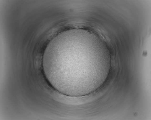 X0000096400030200802071611