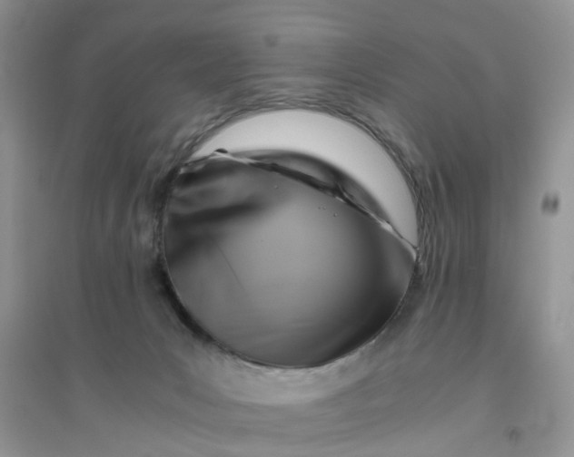 X0000096400031200802071611