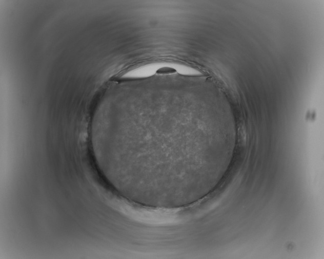 X0000096400032200802071611