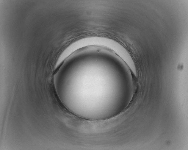 X0000096400033200802071611