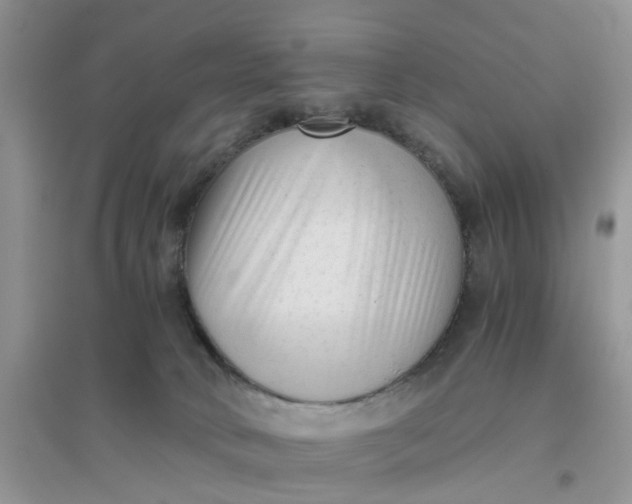 X0000096400034200802071611