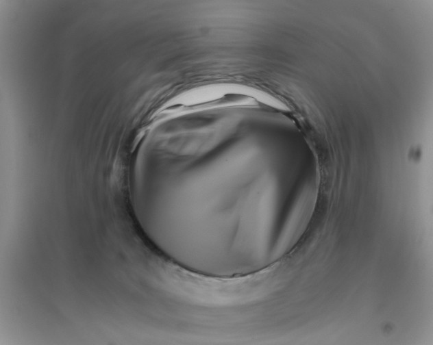 X0000096400035200802071611