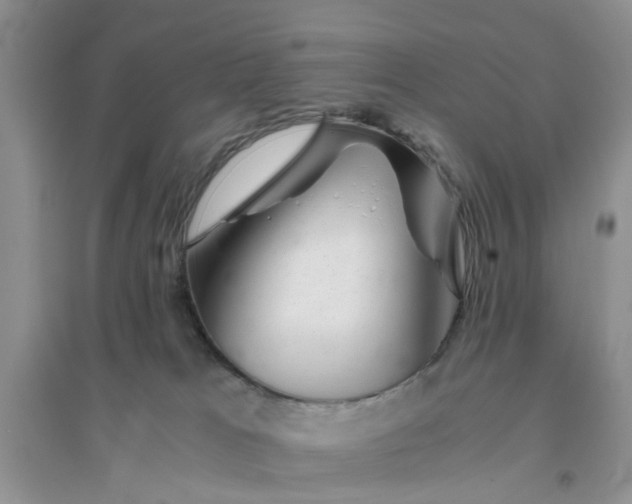 X0000096400037200802071611