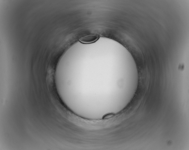 X0000096400038200802071611