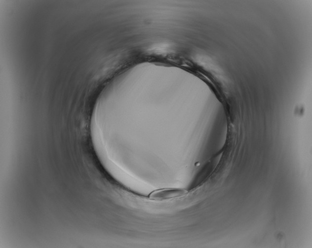 X0000096400039200802071611