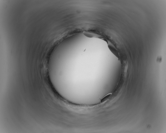 X0000096400040200802071611