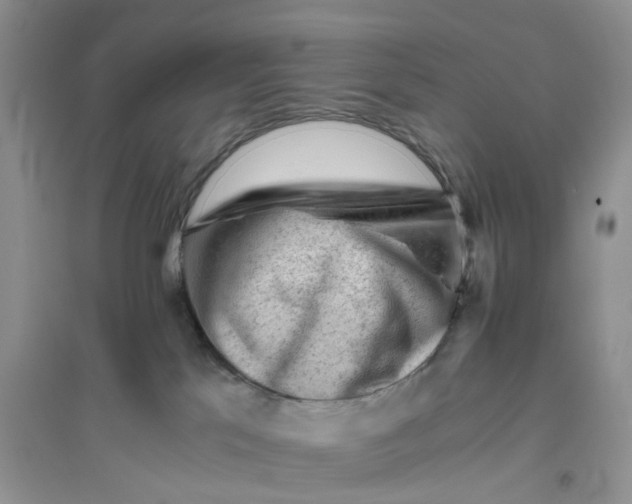 X0000096400041200802071611