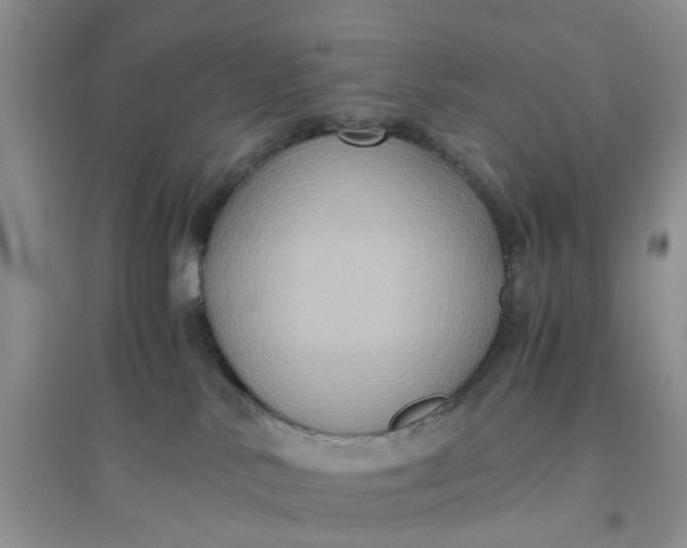 X0000096400042200802071611