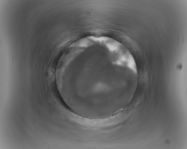 X0000096400043200802071610