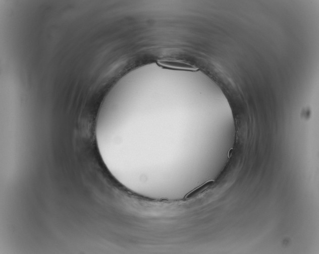 X0000096400044200802071610