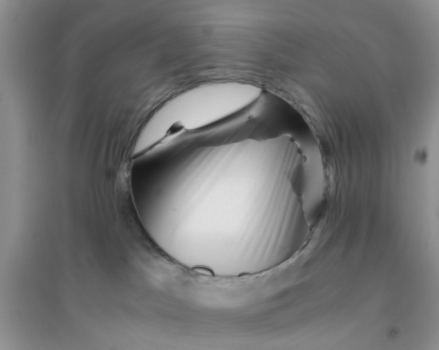 X0000096400045200802071610