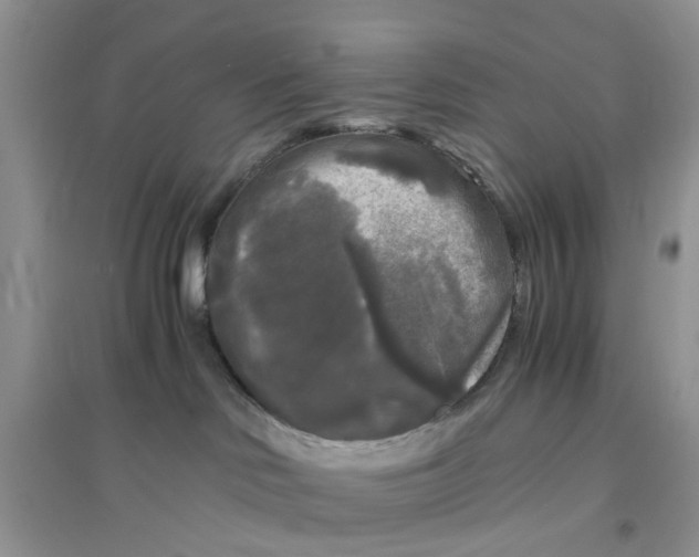 X0000096400046200802071610