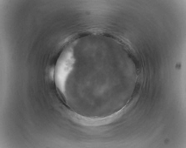 X0000096400047200802071610