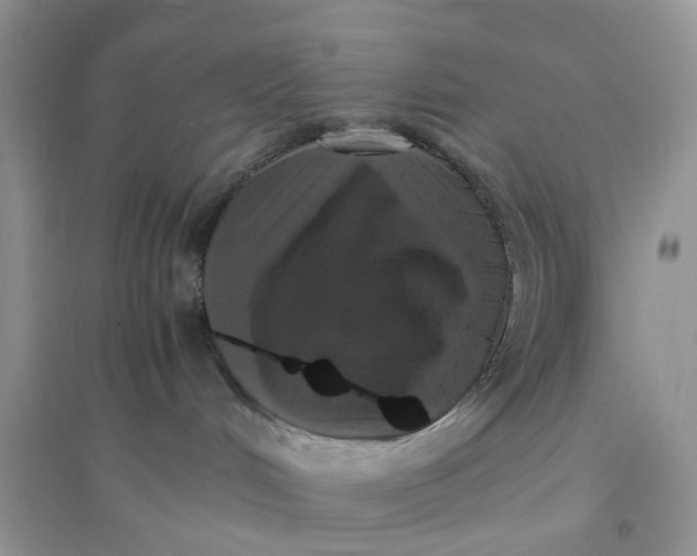 X0000096400048200802071610