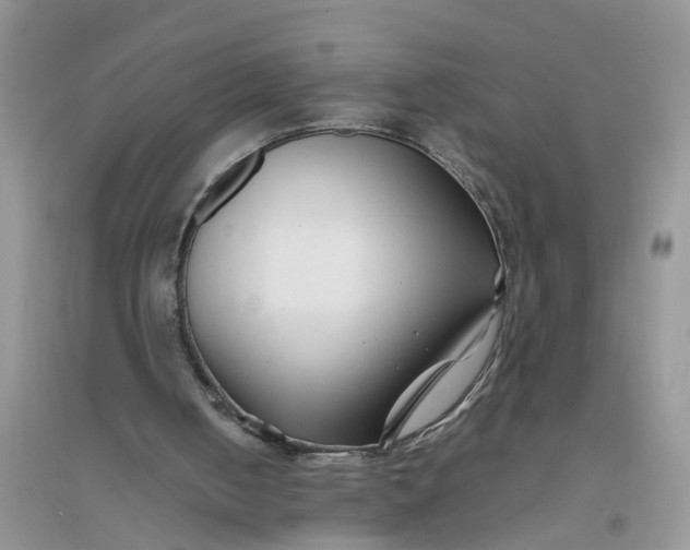 X0000096400050200802071610