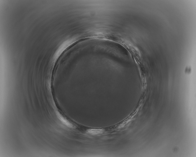 X0000096400051200802071610