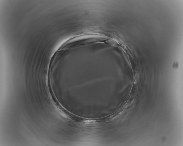 X0000096400052200802071610