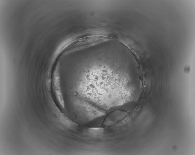 X0000096400053200802071610