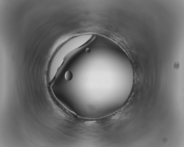 X0000096400054200802071610