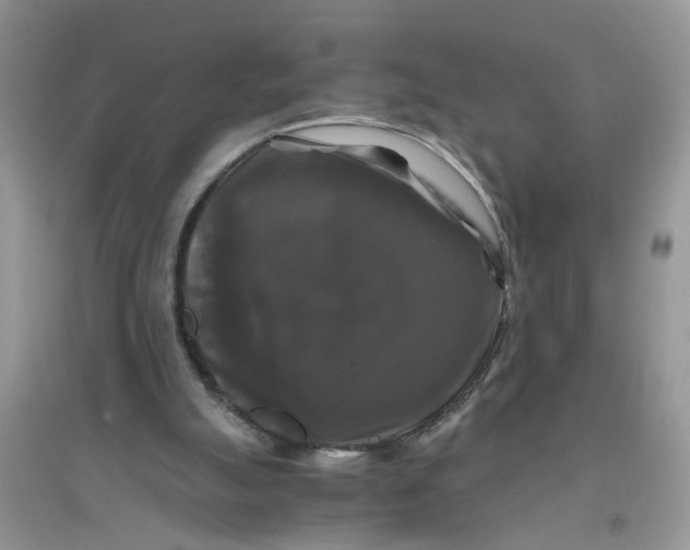 X0000096400055200802071610