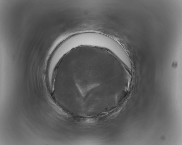 X0000096400056200802071610