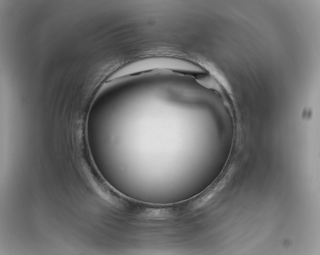 X0000096400057200802071610