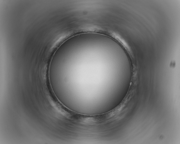 X0000096400058200802071610