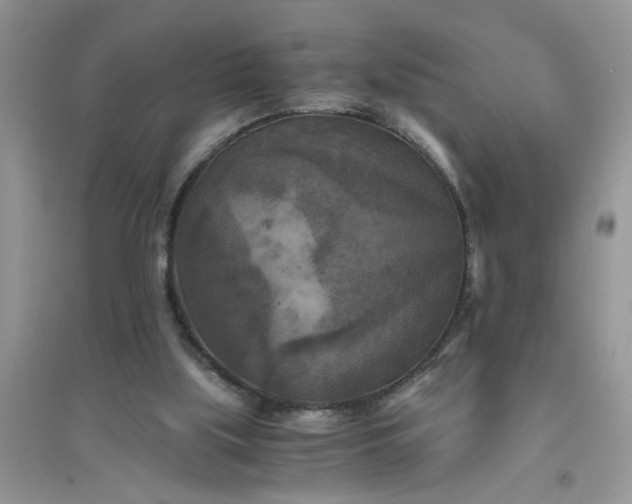 X0000096400059200802071610