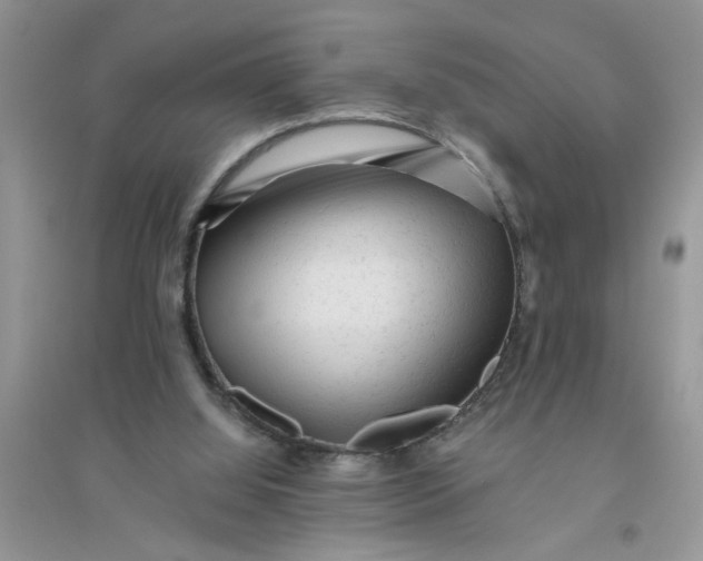 X0000096400060200802071610