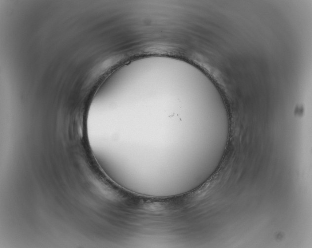 X0000096400062200802071610