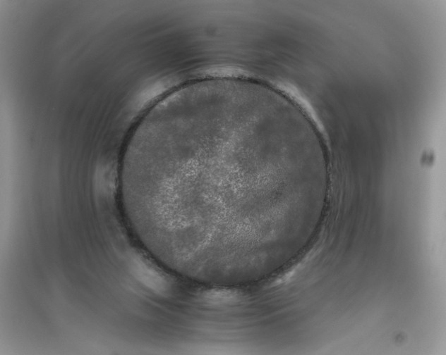 X0000096400063200802071610