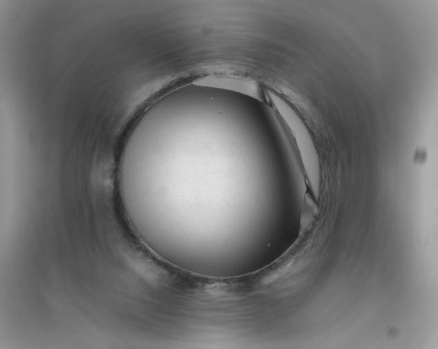 X0000096400064200802071610