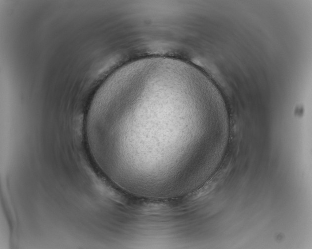 X0000096400066200802071610