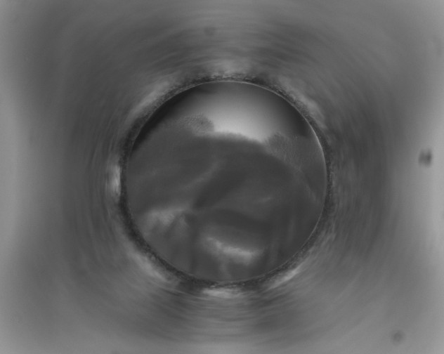 X0000096400067200802071610