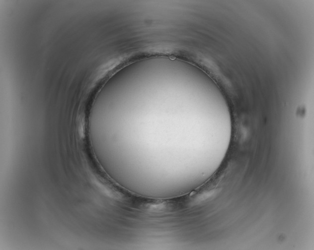 X0000096400068200802071610