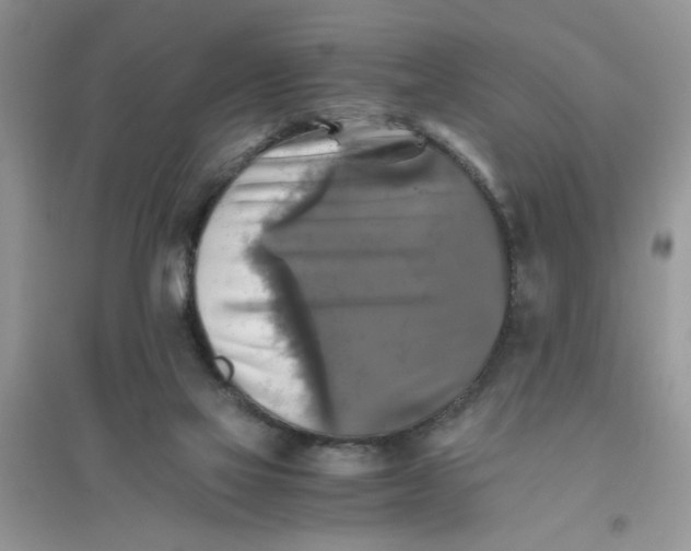 X0000096400069200802071610