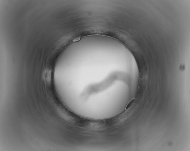 X0000096400070200802071610