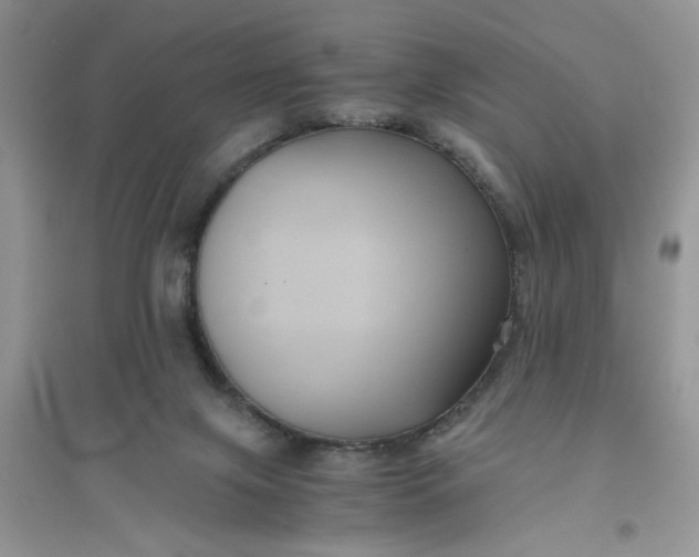 X0000096400071200802071610