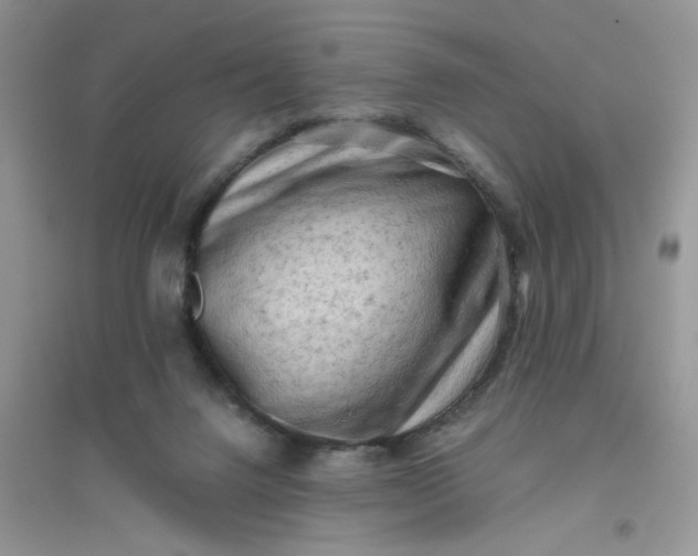 X0000096400072200802071610