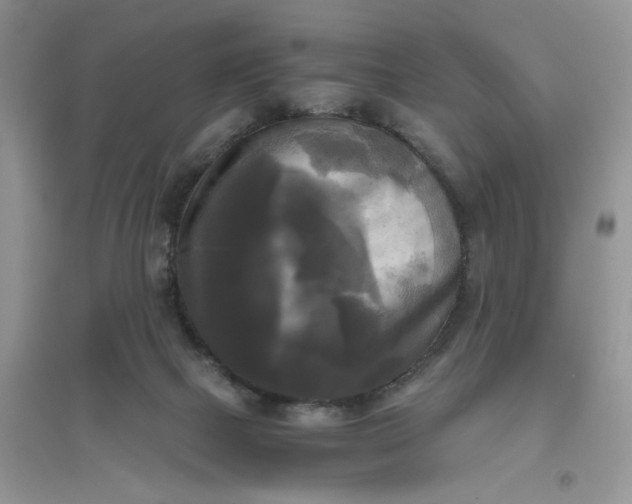 X0000096400073200802071610