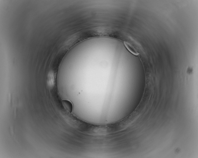 X0000096400075200802071610