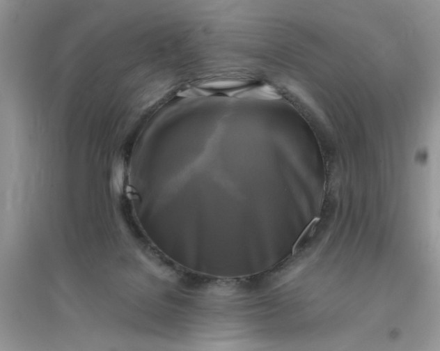 X0000096400076200802071610