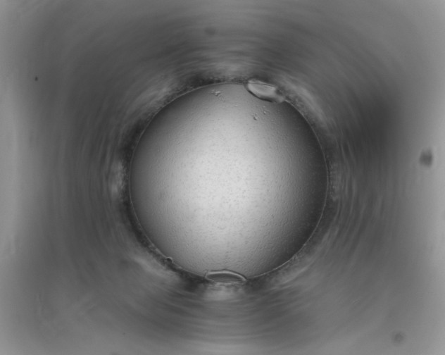 X0000096400077200802071610