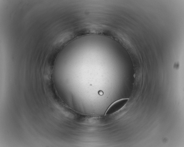 X0000096400078200802071610