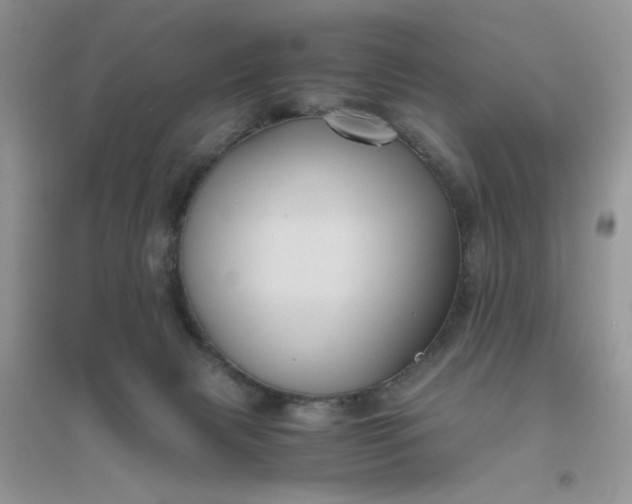 X0000096400079200802071610